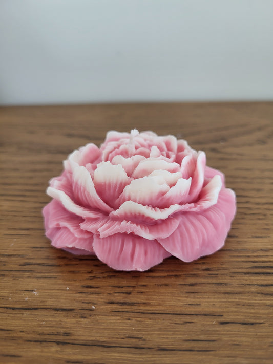 Bougie décorative pivoine bicolore – Bougie fleurie artisanale
